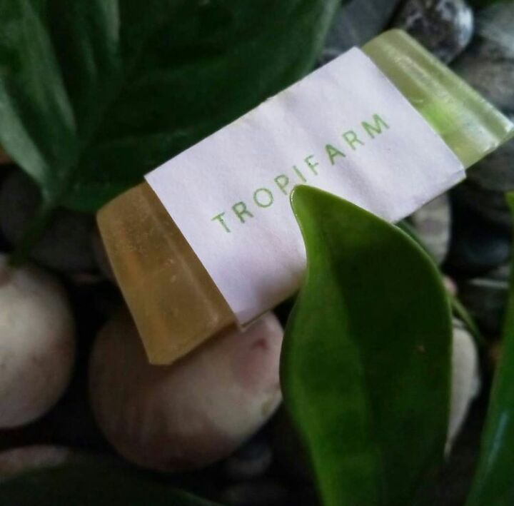 Dragon Fruit Stem Extract Soap