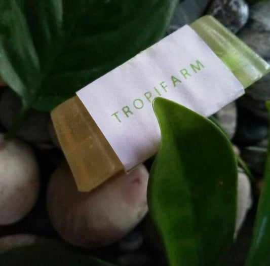 Dragon Fruit Stem Extract Soap