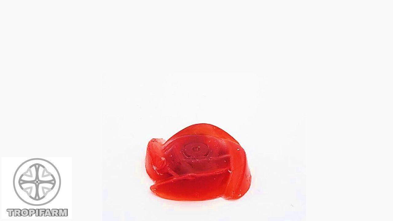 Dragon Fruit Stem Extract Soap